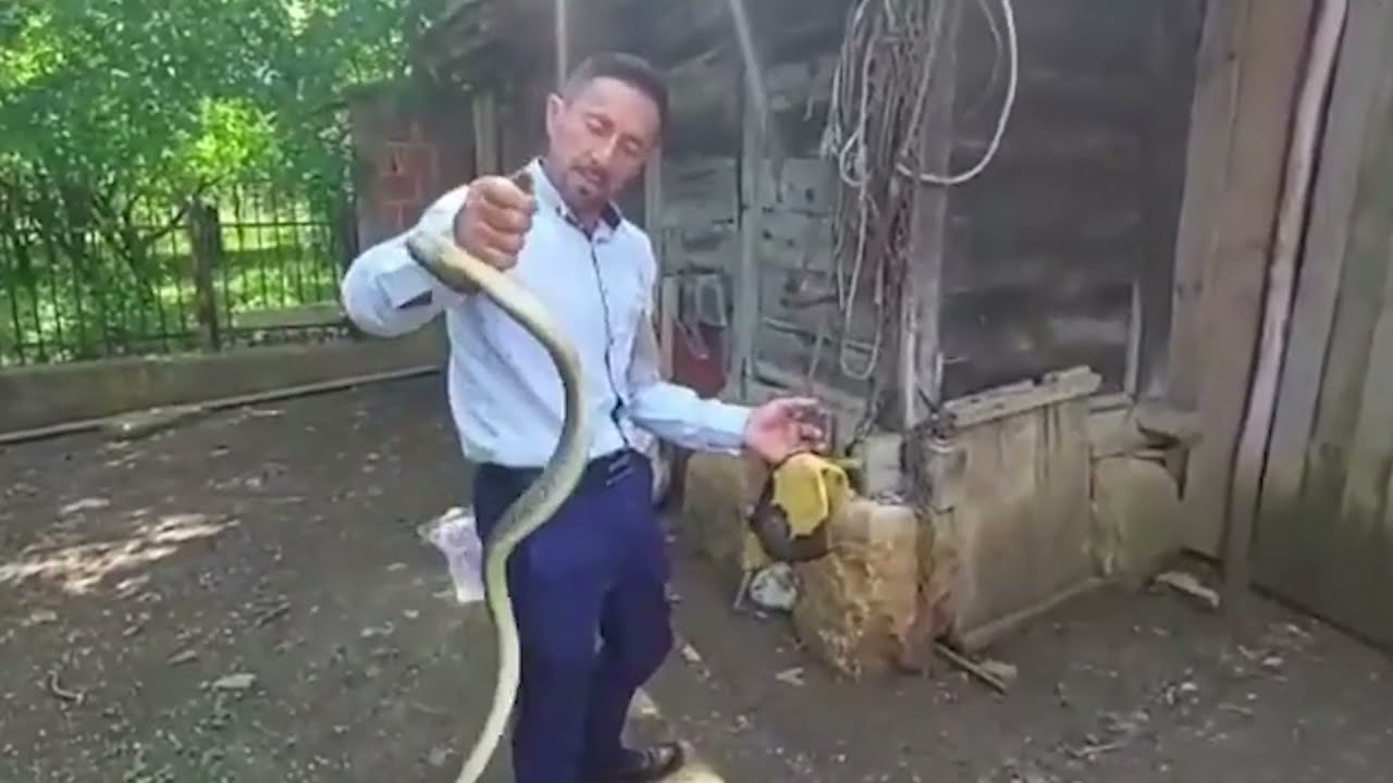 Njeriu i gjarperinjeve, Hysni Rexhaj i del ne ndihme edhe disa familjeve
