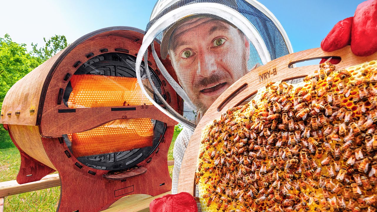 The World’s First See-Through Beehive!
