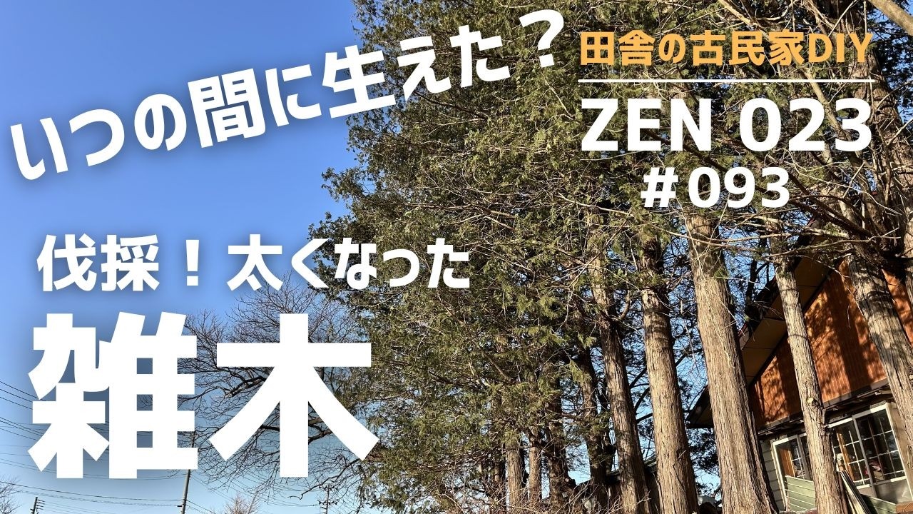 【実家の開拓＆DIY】いつの間にか庭に生えた太くなった雑木を伐採。