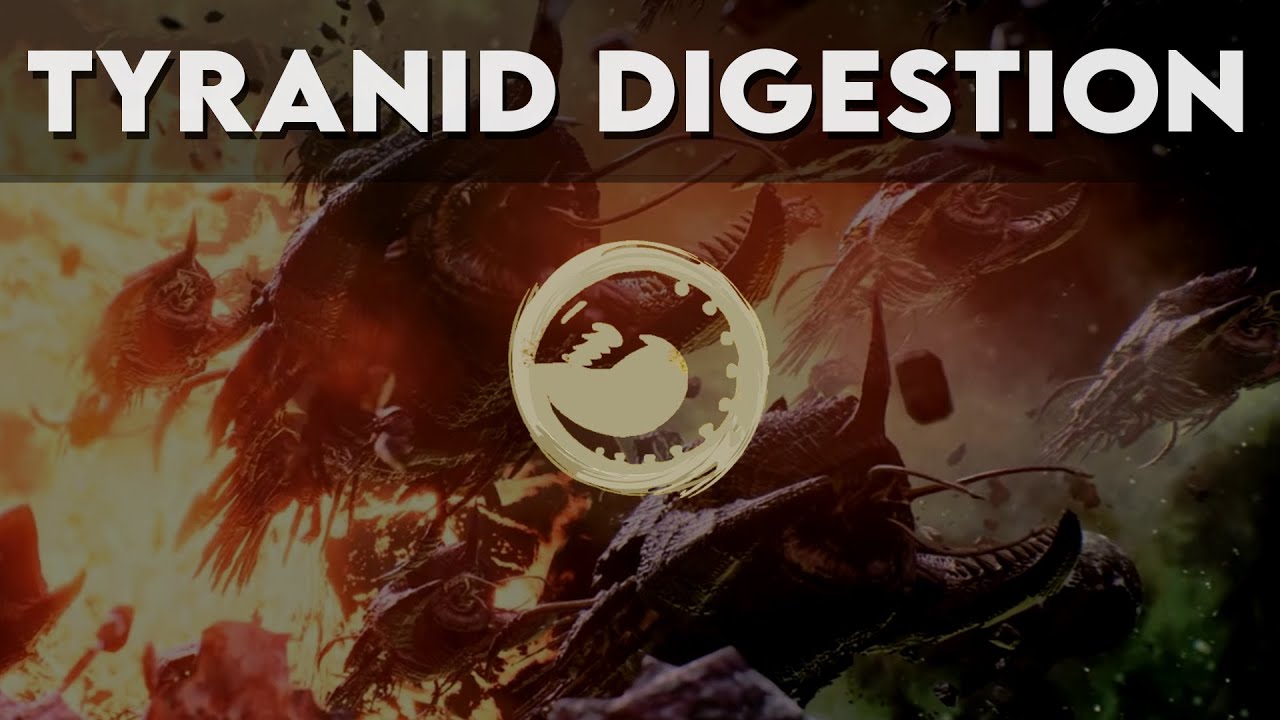 The Last Hunt - Tyranid Ship Digestion || Voice Over
