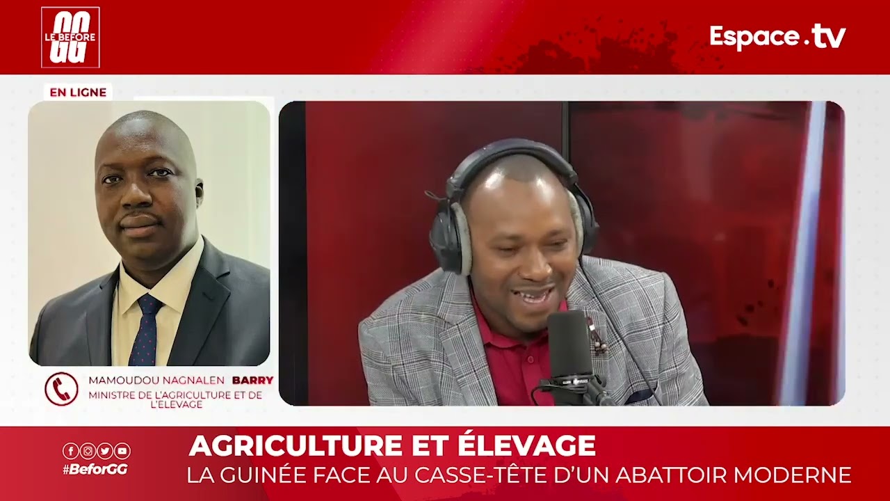 AGRICULTURE ET ÉLEVAGE : LA GUINÉE FACE AU CASSE TÊTE D’UN ABATTOIR MODERNE