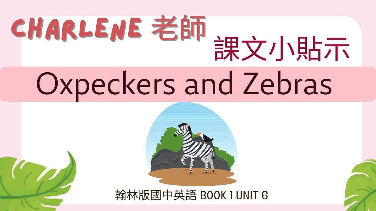 翰林國中英語第1冊第6課閱讀p121 Reading-Oxpeckers and zebras你有聽過牛椋鳥嗎?動物之間的互利共生內幕很有趣喔~【Charlene課文小貼示來囉!】