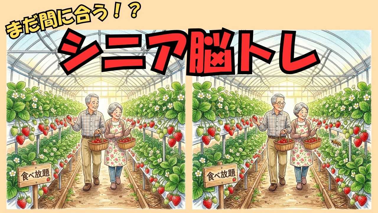 【間違い探し】60代でも間に合う！間違い探し5問/楽しく認知症予防/若返り/いちご狩り