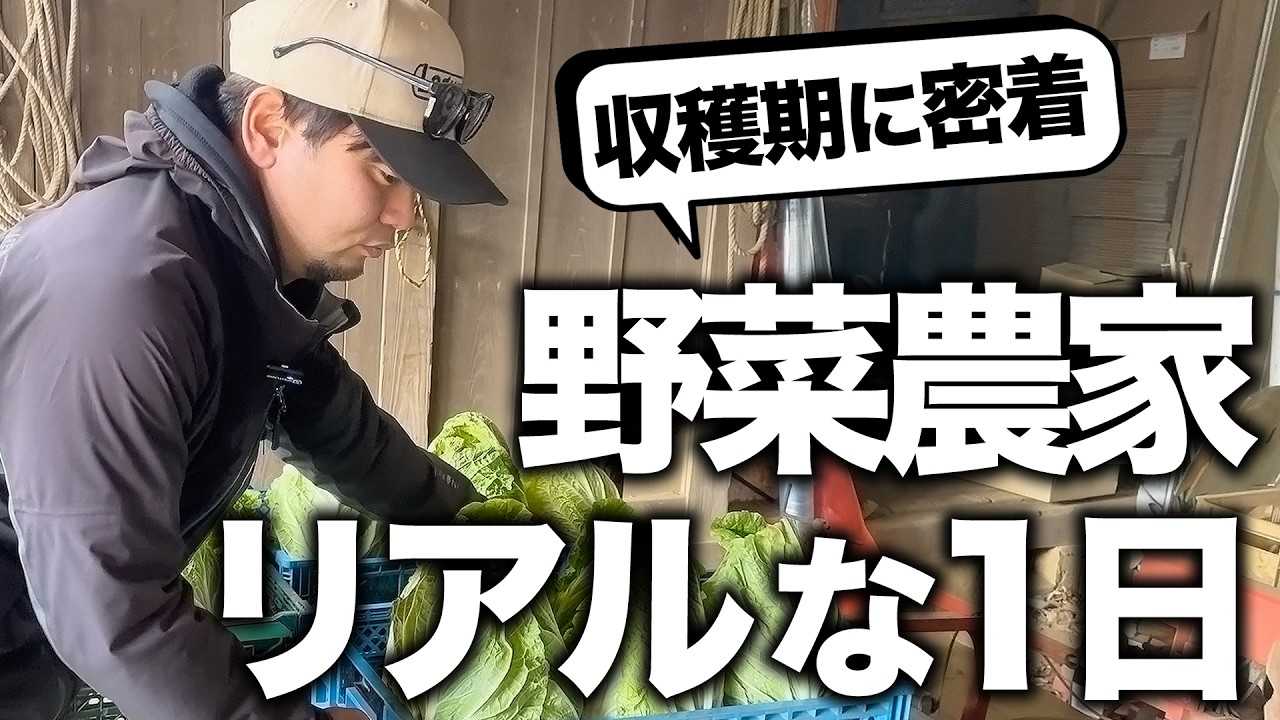 若手農家さんのリアルな1日に密着してみました