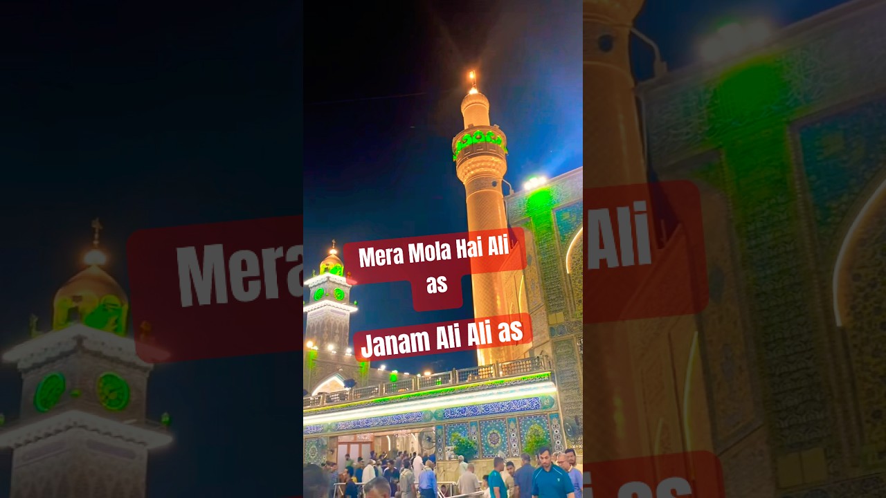 Mera Mola Hai Ali as 🥰 