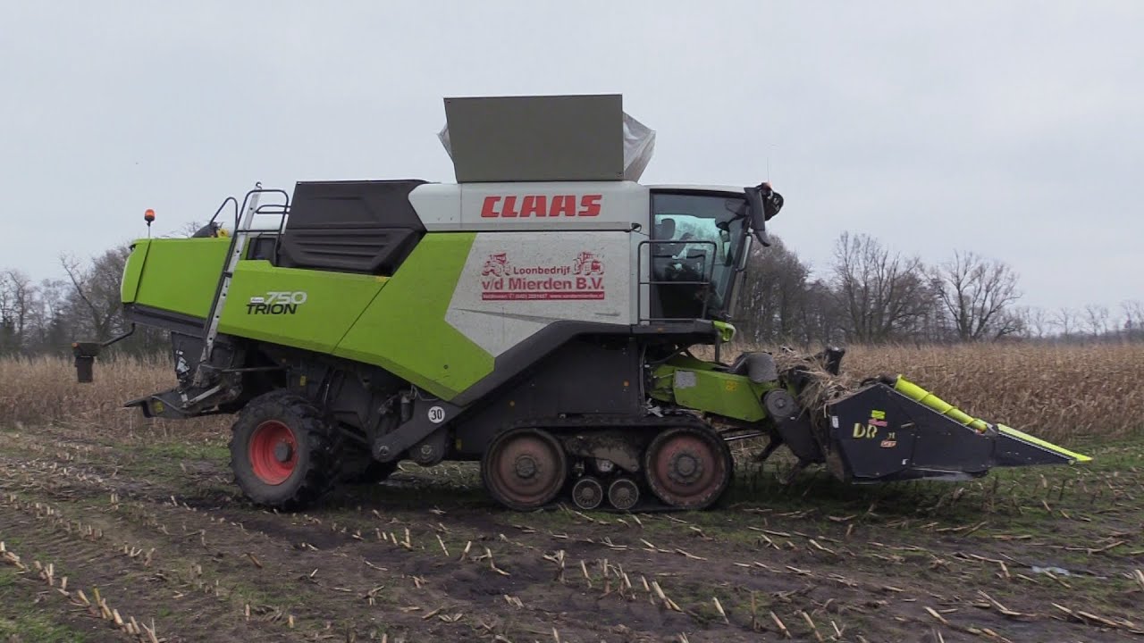 Maïs 2024 | Claas Jaguar 950 | Claas Trion 750 Terra Trac | Morooka rupsdumper met hoogkipper | wet