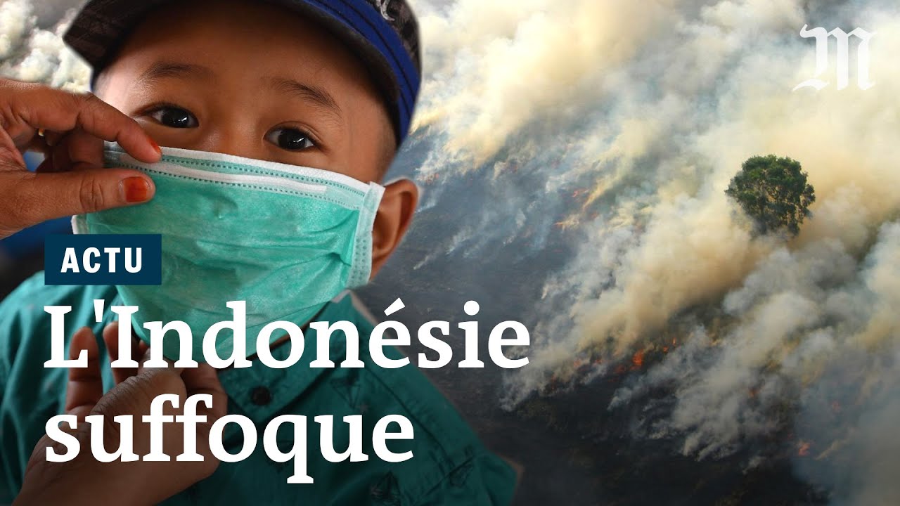 Feux en Indonésie : un nuage de fumée toxique