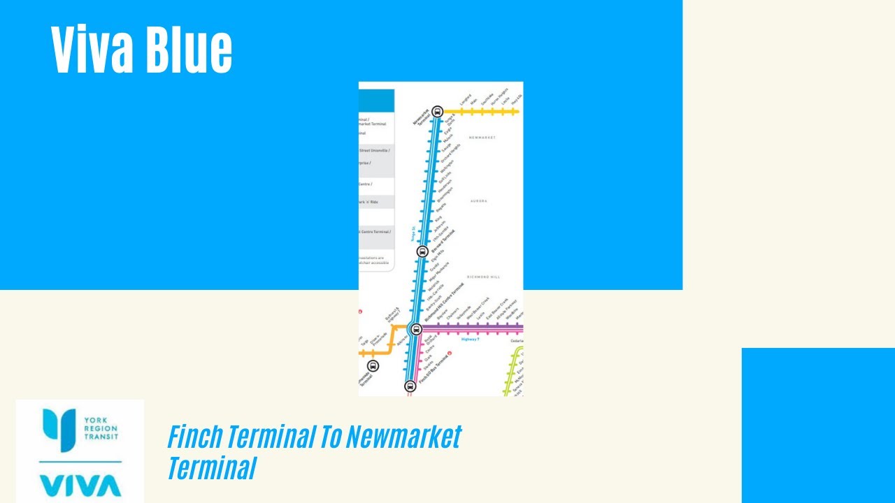 Viva Blue - Finch Terminal To Newmarket Terminal - Full Route
