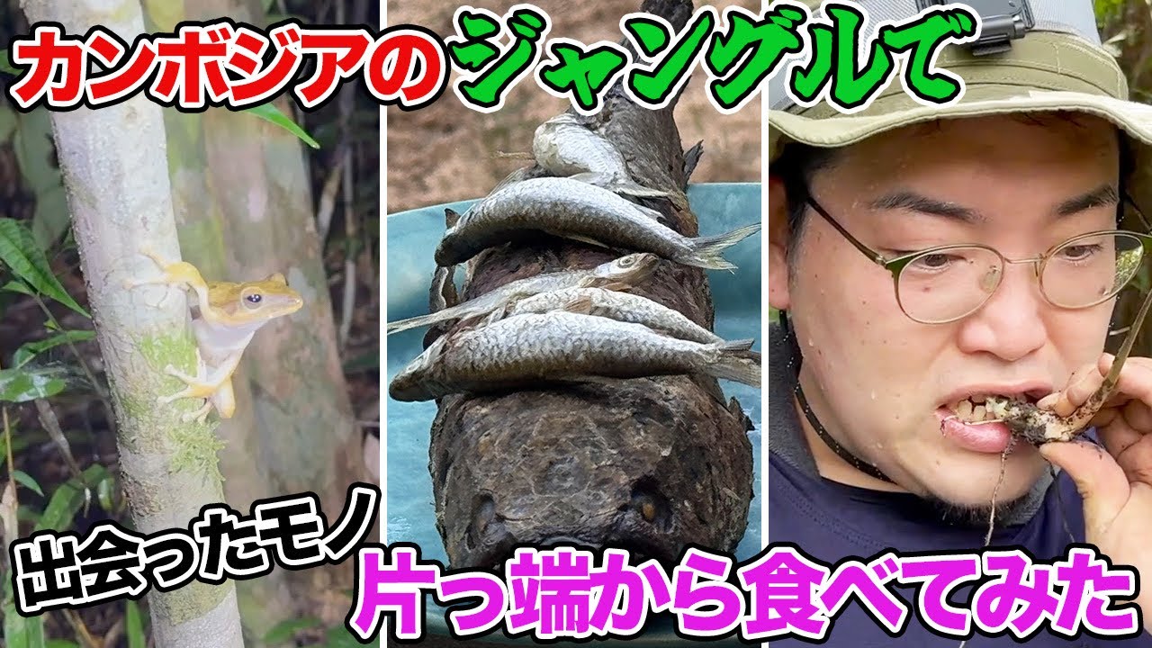 有毒生物だらけのガチのジャングルで幻のスパイスを探す