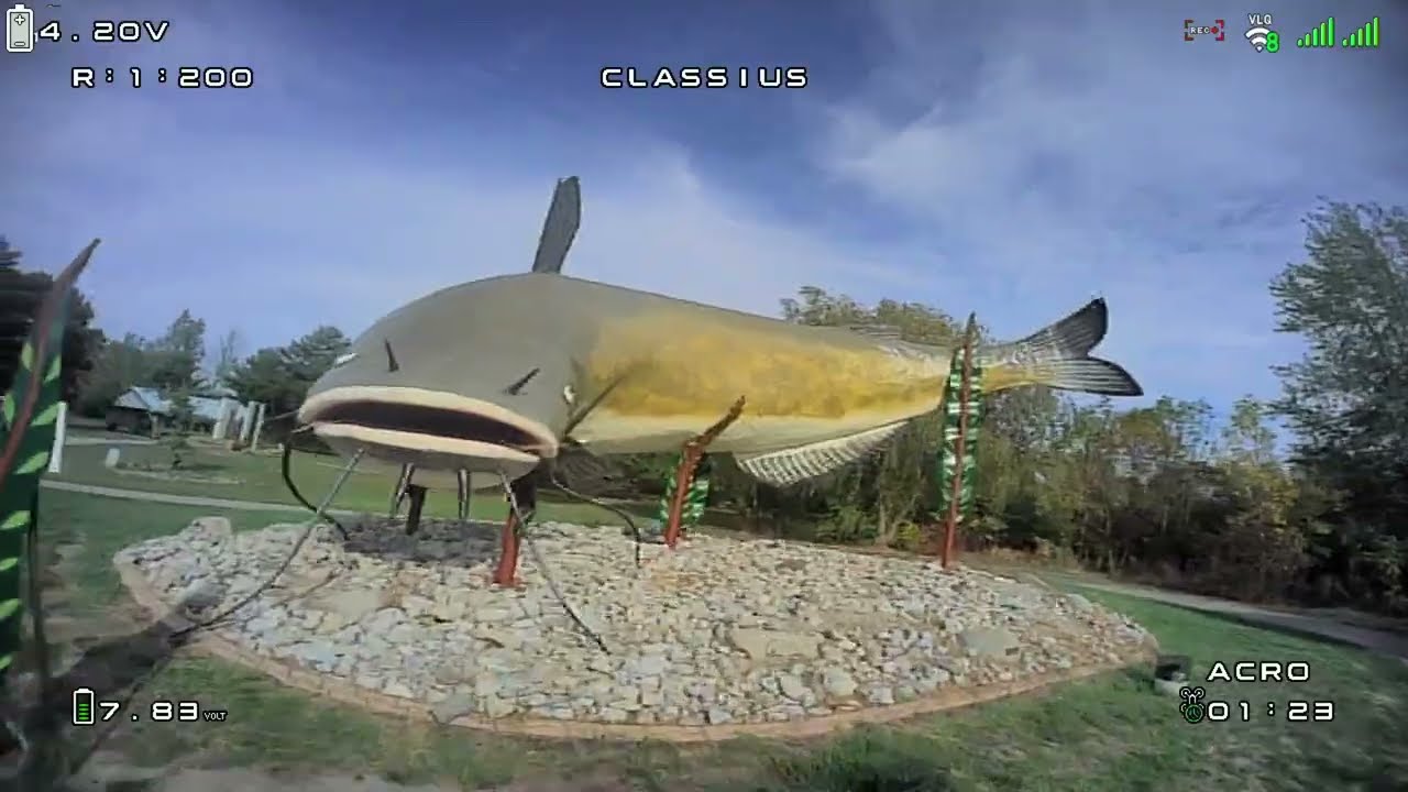Full Practice Session -  With Muddy the Mudcat