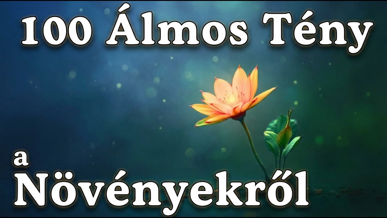 A Legpihentetőbb Növényes Tények az Elalváshoz