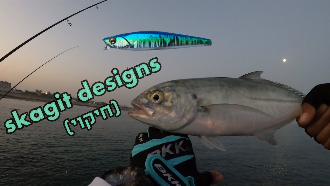דייג בים 2021 תחילת עונת הטרכונים ודמוי חדש שכל אחד חייב בקופסא fishing blue runner fishing