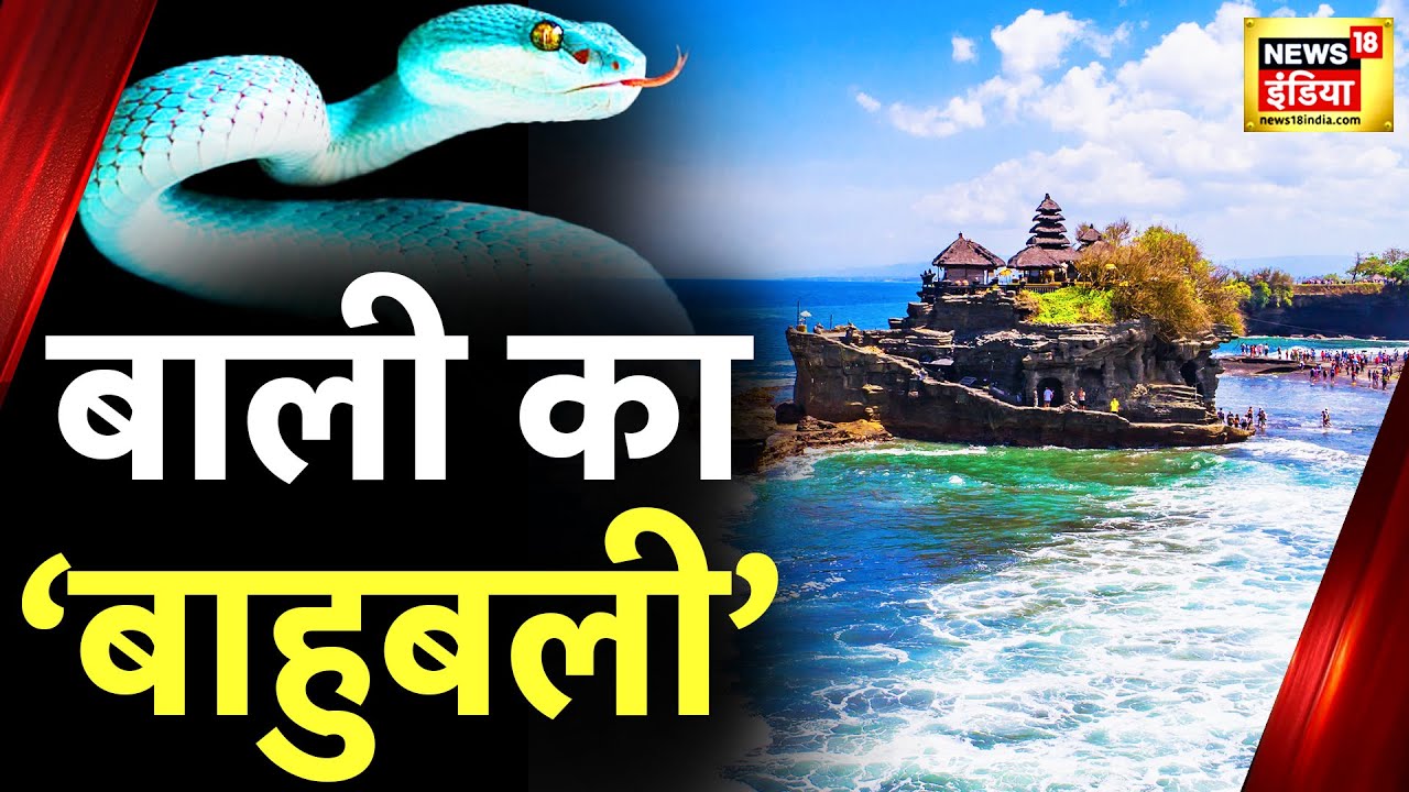 बाली में 'बुरी नज़र' का काल, बाली का ज़हरीला रक्षक | Aadhi Haqeeqat Aadha Fasana | Indonesia | Bali