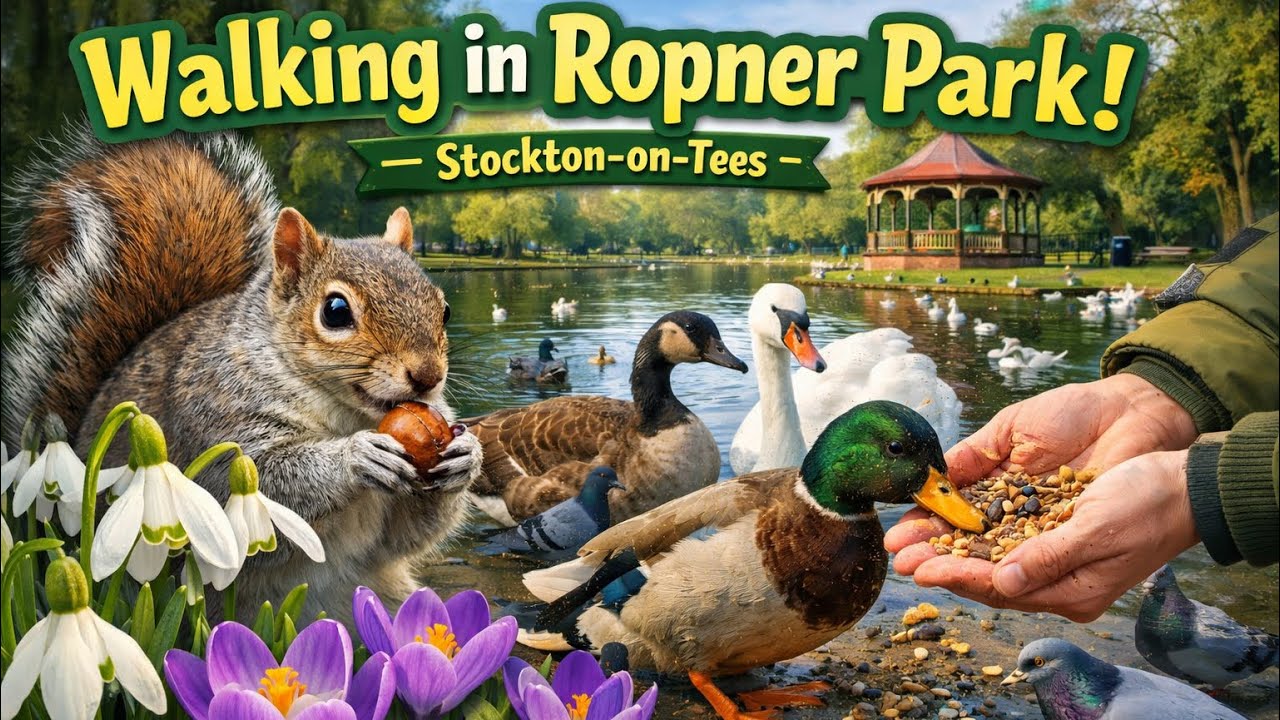 Spring Awakening at Ropner Park | Snowdrops, Crocuses & Wildfowl