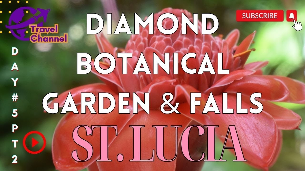 ST LUCIA: 