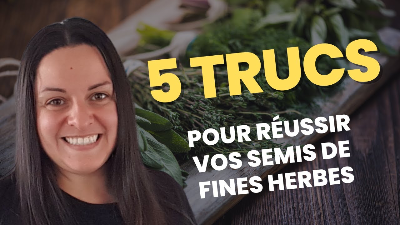 Comment réussir vos semis de FINES HERBES à l'intérieur