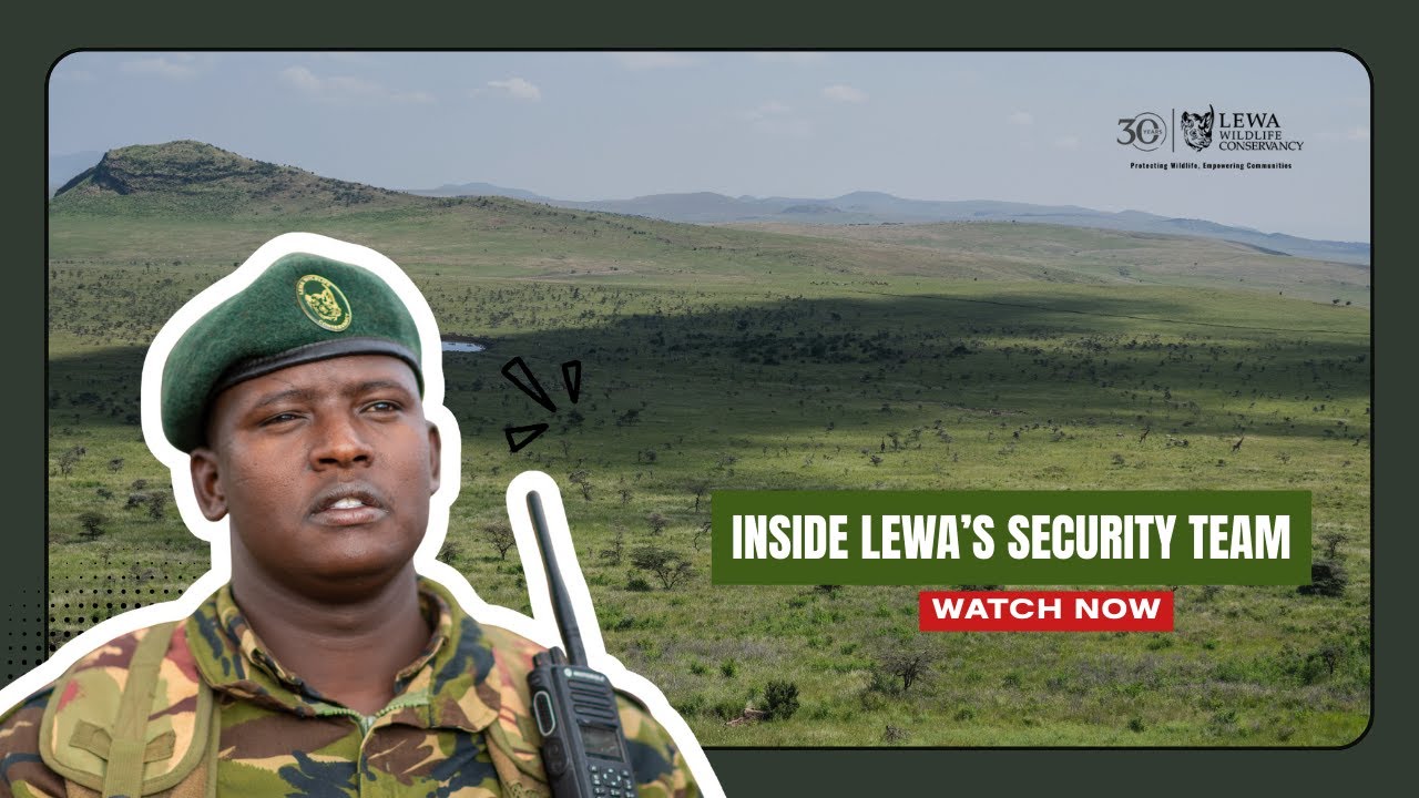 Inside Lewa's Security Team - Lewa Wildlife Conservancy