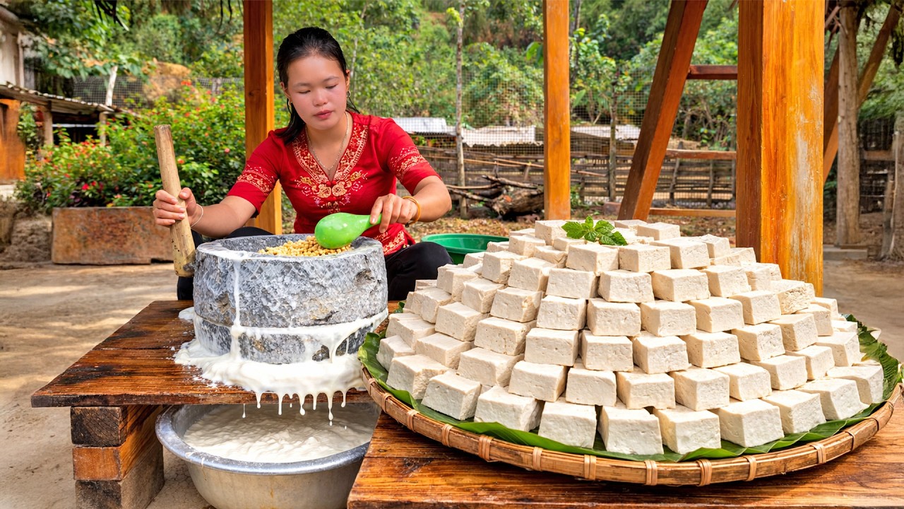 Making Tofu from Traditional Ingredients to Sell at the Market - Homemade Food | Trieu Mai Huong
