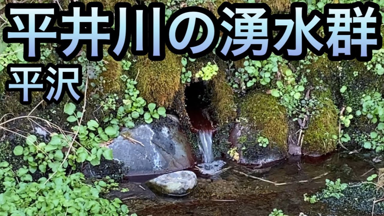 【秋留台地】平井川を遡上！断崖から湧き出る水と鹿野大仏までの記録【東京都あきる野市】