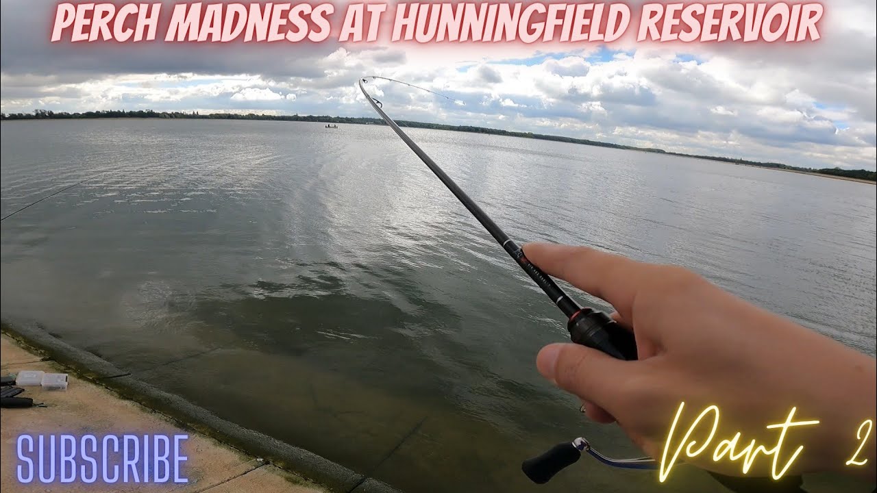 Perch madness at Hanningfield reservoir part 2