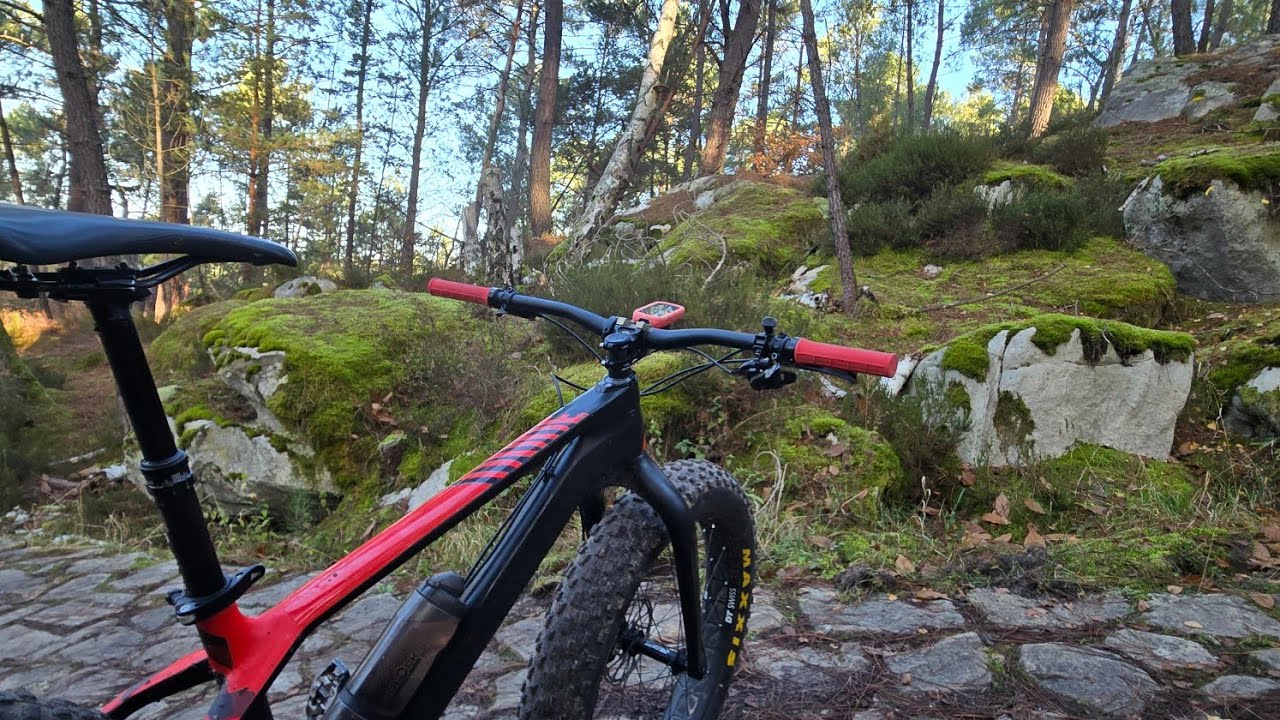 MTB | Une bonne dose de singles et de technique en FatBike | Forêt Etrechy 