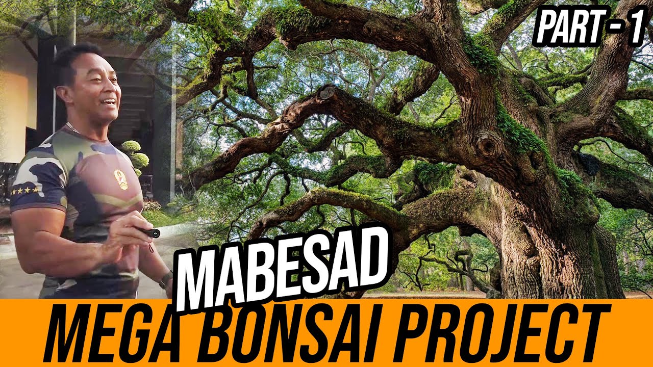 Mega Bonsai Project - Part 1