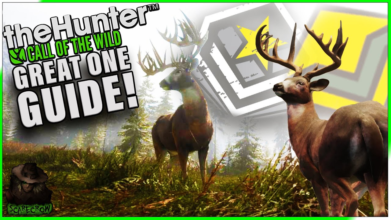 Best Whitetail Guide To Help YOU Find Your Great One & Diamonds! Call of the wild 2020
