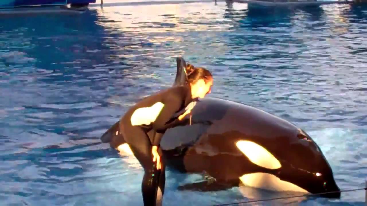 Final Believe at SeaWorld Orlando - Trua in Far Greater