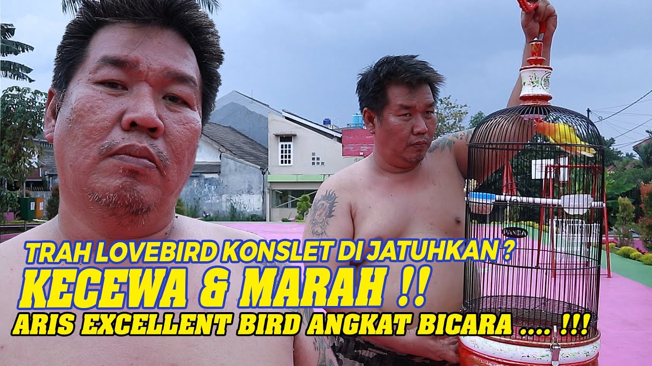 TRAH KONSLET DI HANCURKAN ? EXCELLENT BIRD KECEWA DAN MARAH !!