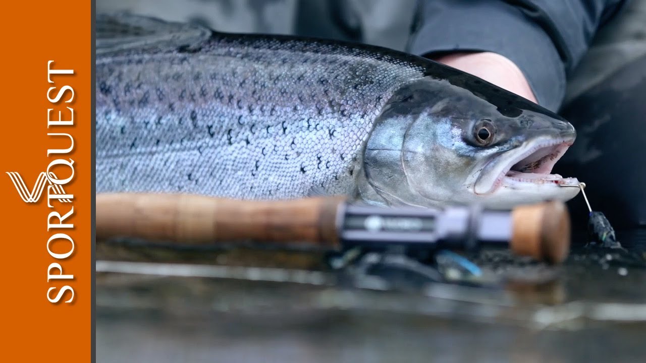 Fly Fishing For Huge Sea Trout At Worlds End Lodge In Argentina