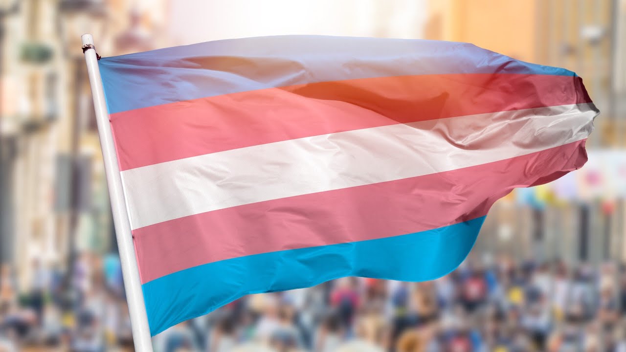‘End-state feminism’: International Women’s Day event run solely by biological males