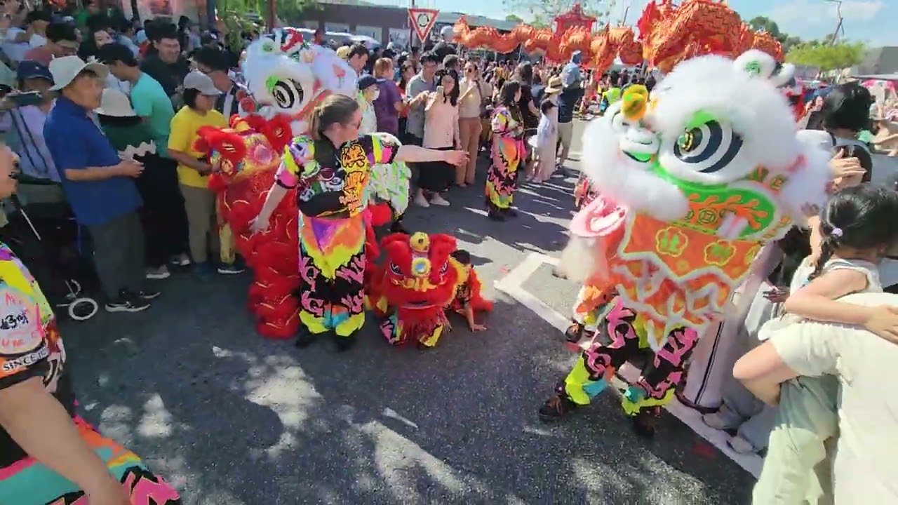 Lion Dragon Dance at Springvale Lunar New Year festival 2026 Hội chợ Tết ‎⁨Múa Lân @goplaces1⁩  
