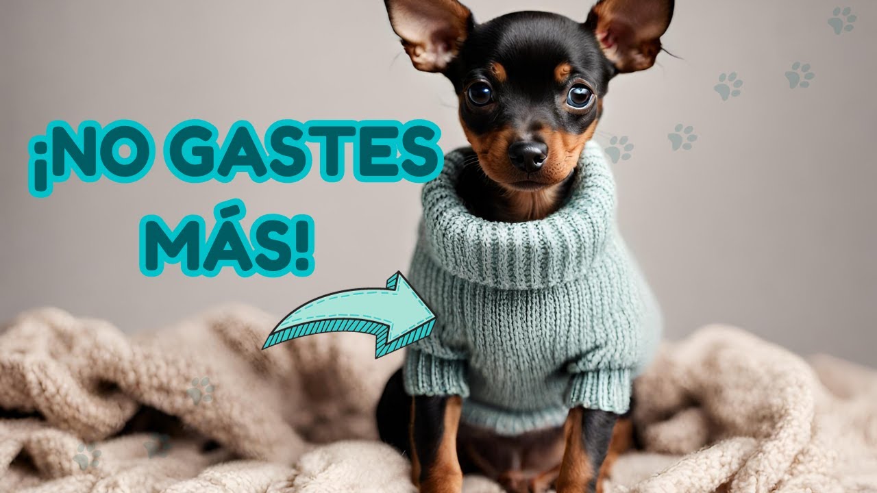 ¿Vale la Pena? Revelamos TODO sobre el Curso de Ropa Tejida para perros🐾🧶