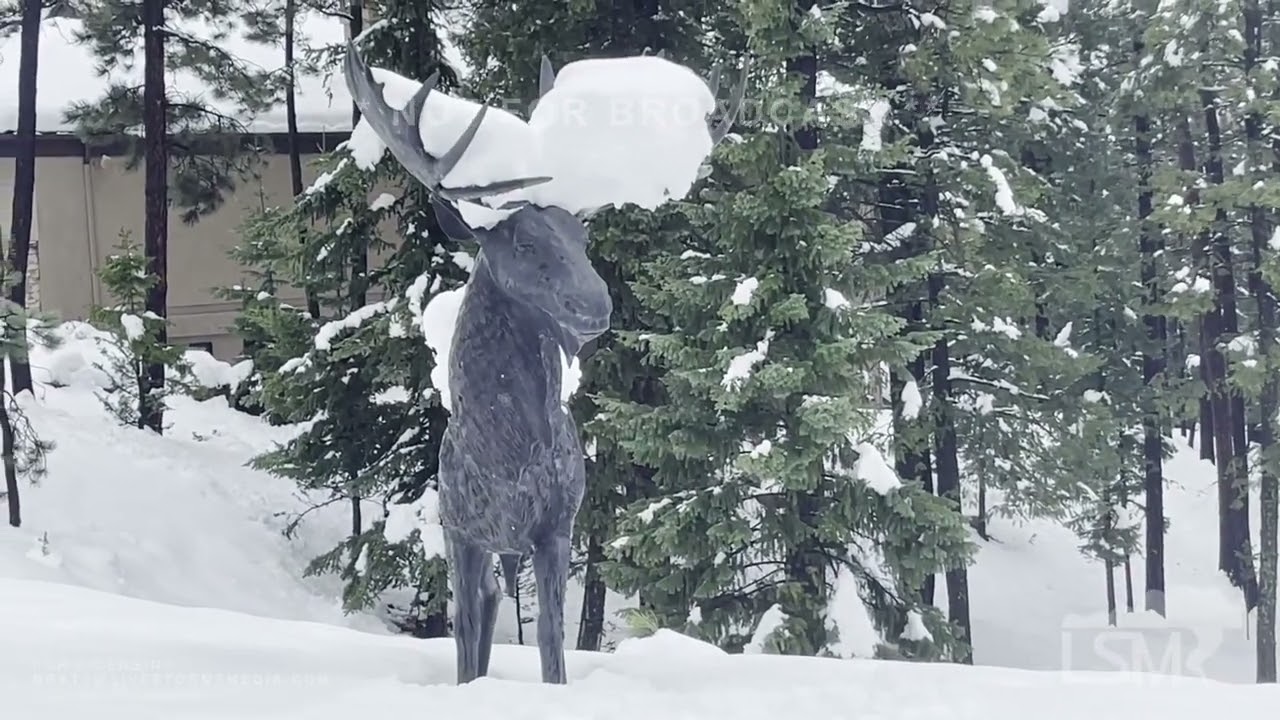 05-12-2023 Woodland Park, Colorado - Tornado Warning to A Foot of Snow in One Day!