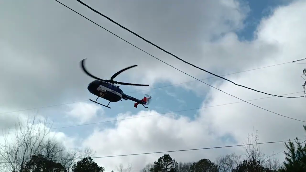 I thought  the bird was after it.