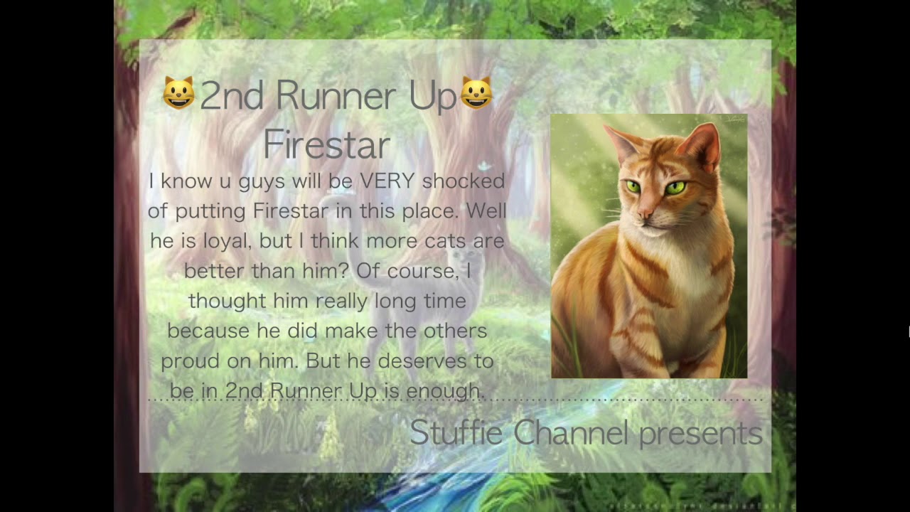 Top-5 Loyal Cats in ThunderClan(Warrior Cats 1st and 2nd Series)