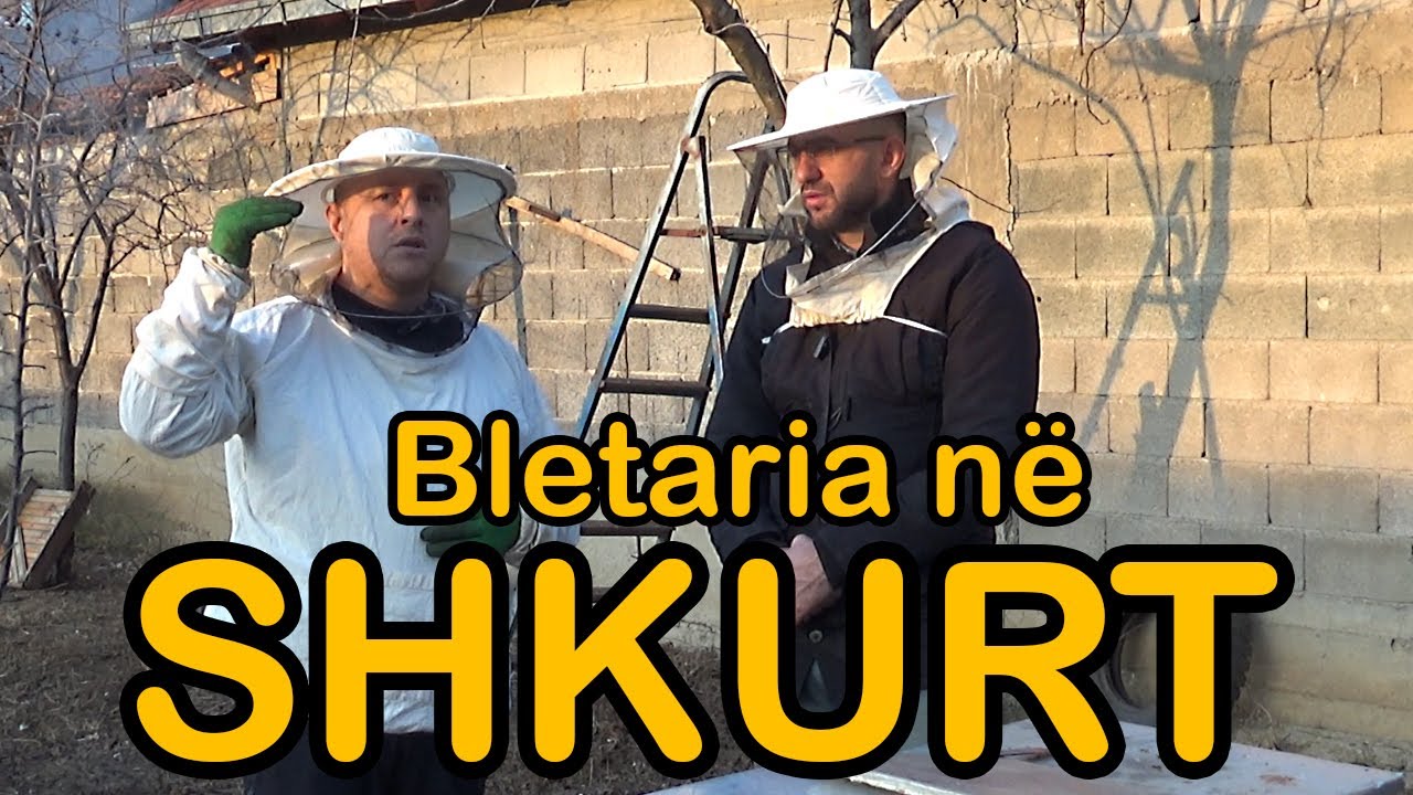 SHKURTI: Çfarë duhet të bëjë Bletari ? ( Kalendari i Bletarit )
