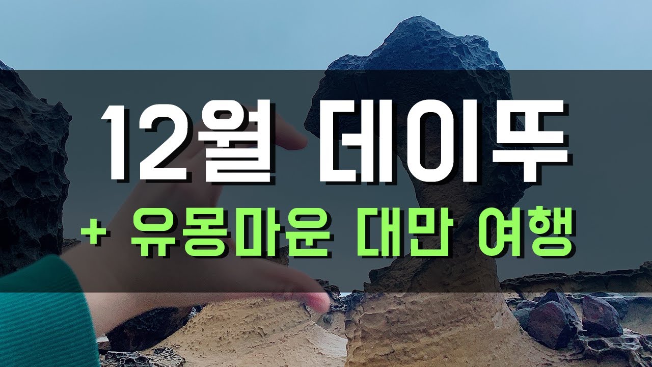 12월 데이뚜와 대만 여행! [유몽커플 일상]