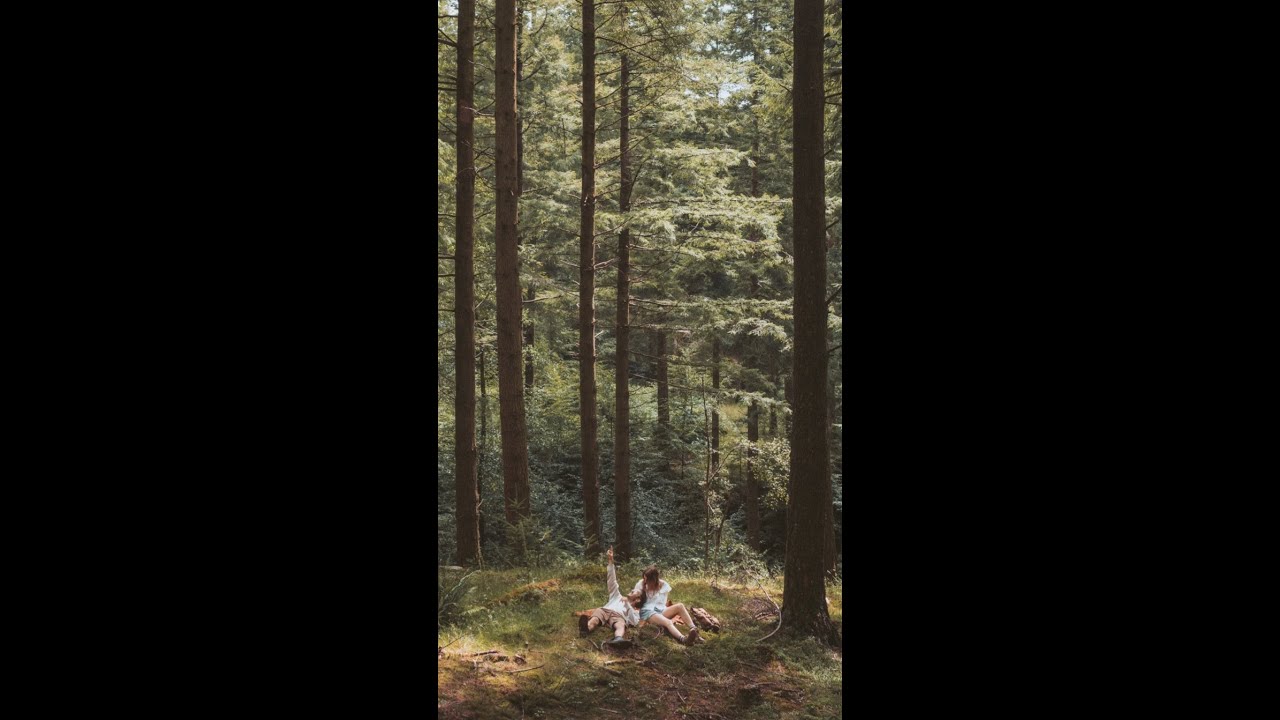 Exploring a new corner of nature each day #shorts #nature