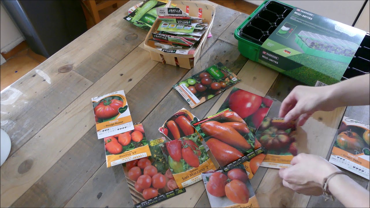 Variedad de tomates para sembrar