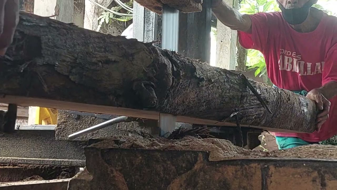Sawing wood ex red vein 