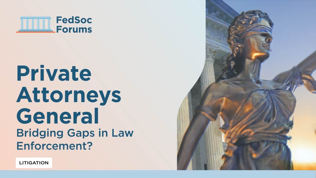 Private Attorneys General: Bridging Gaps in Law Enforcement?