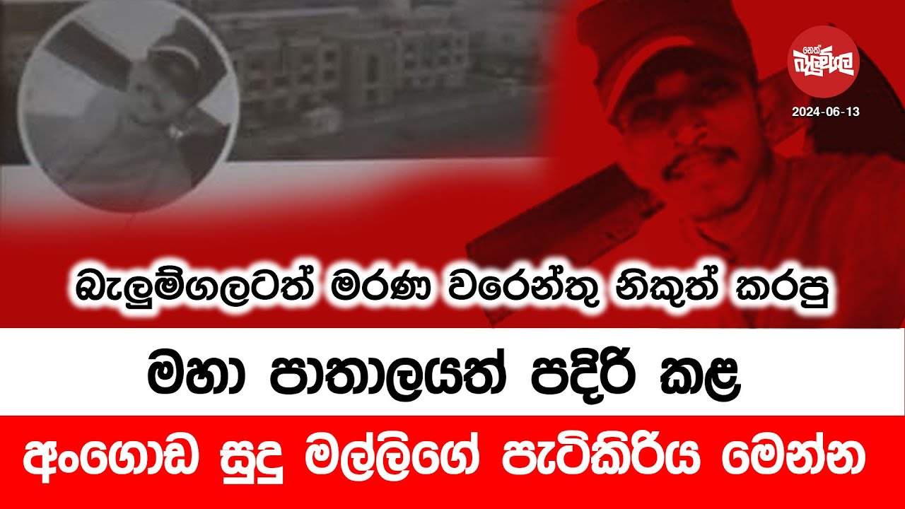 මහා පාතාලයත් පදිරි කළ අංගොඩ සුදු මල්ලිගේ පැටිකිරිය මෙන්න | 2024-06-13 | Neth Fm Balumgala