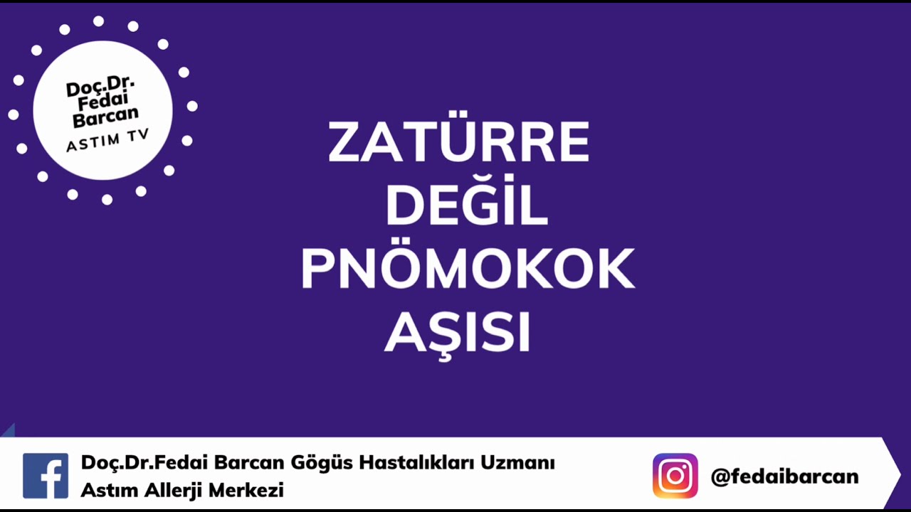 ZATÜRRE DEĞİL PNÖMOKOK AŞISI
