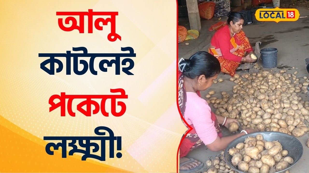 Bangla News | আলু কাটলেই পকেটে লক্ষ্মী! এক অভিনব কুটির শিল্পের উত্থান #Local18