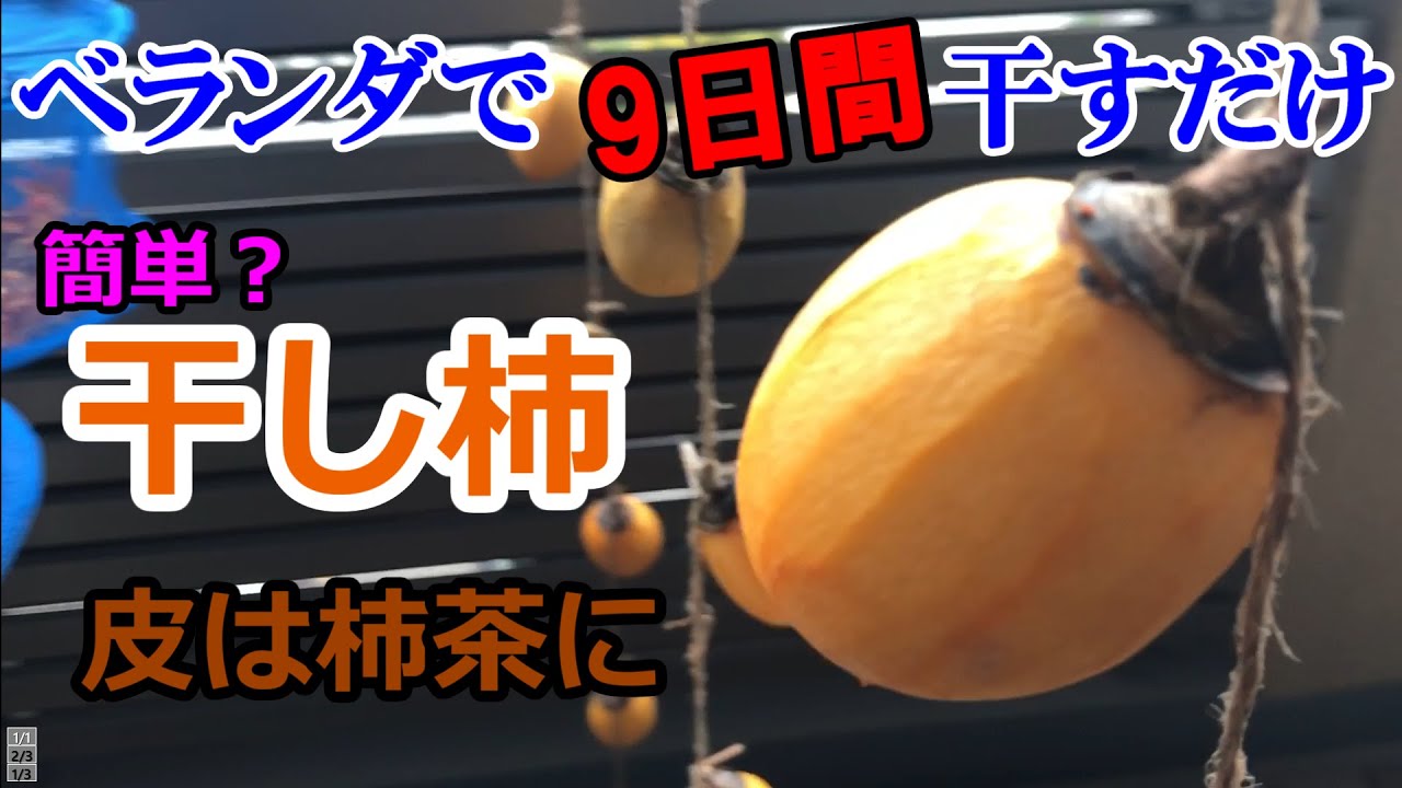 干し柿作りに挑戦！皮は柿茶に、ホッとする味