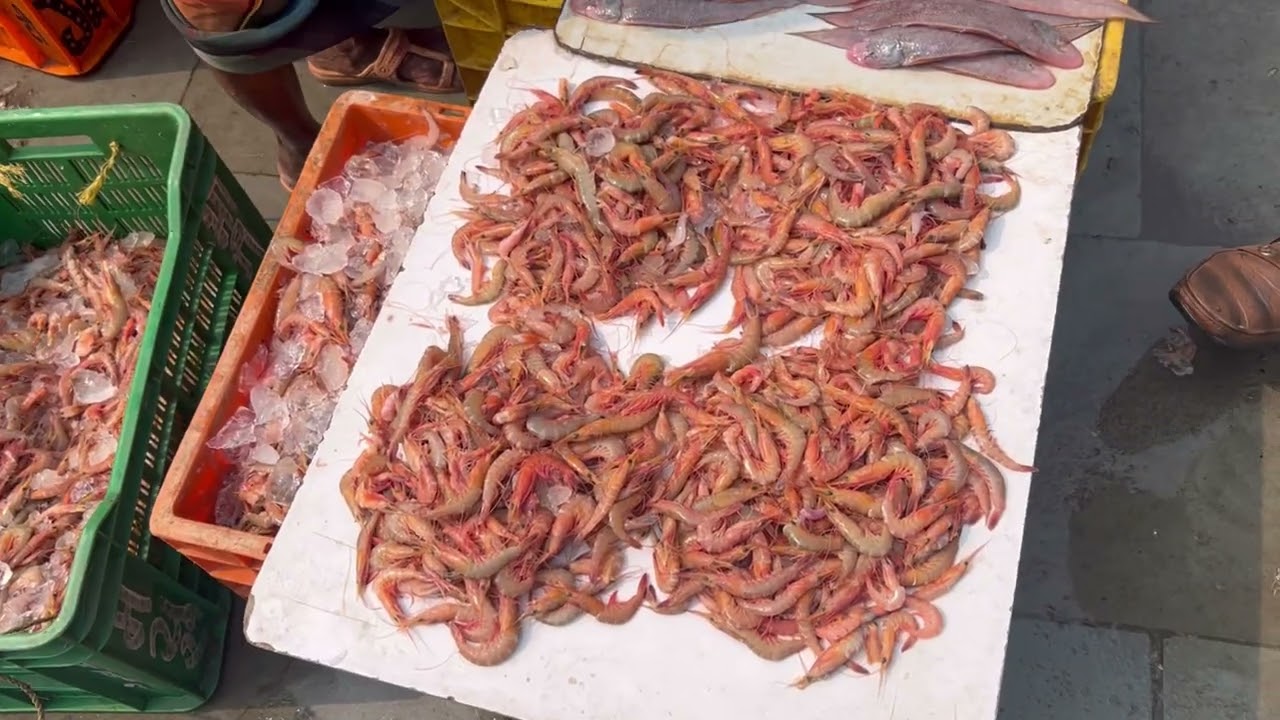 Malad Fish Market Friday 23 January 2026