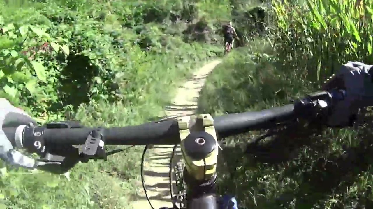 RICCI FUNGHI E MTB