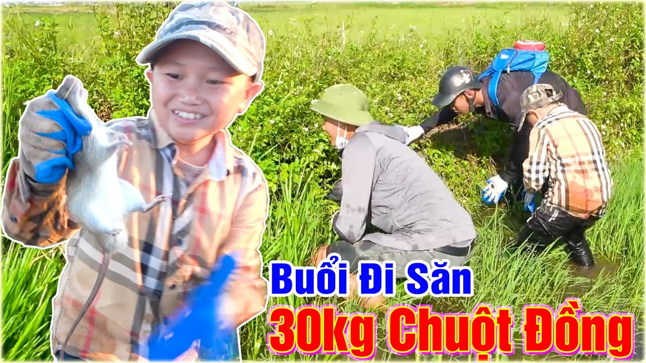 Một Buổi Đi Săn Chuột Đồng Cực Vui Cùng Mao Đệ - Chuột Nhiều Không Tưởng