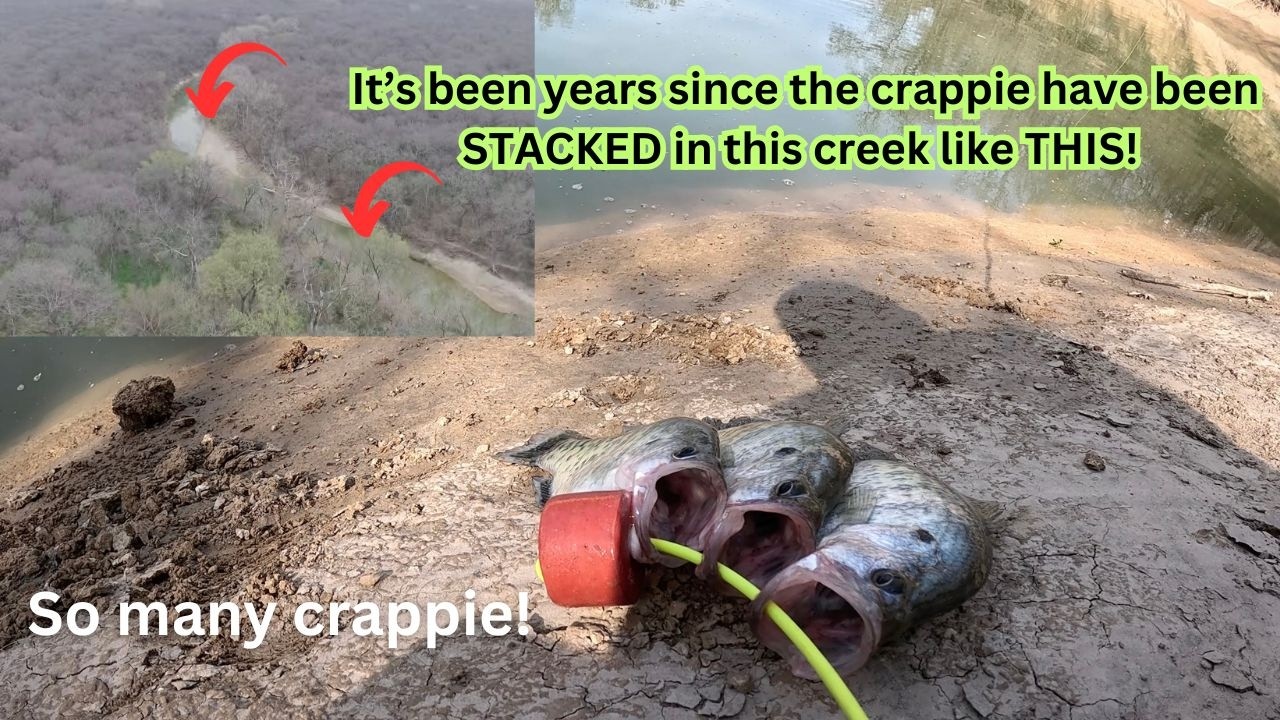 9 years since the CRAPPIE were STACKED like THIS in this CREEK! WOW!